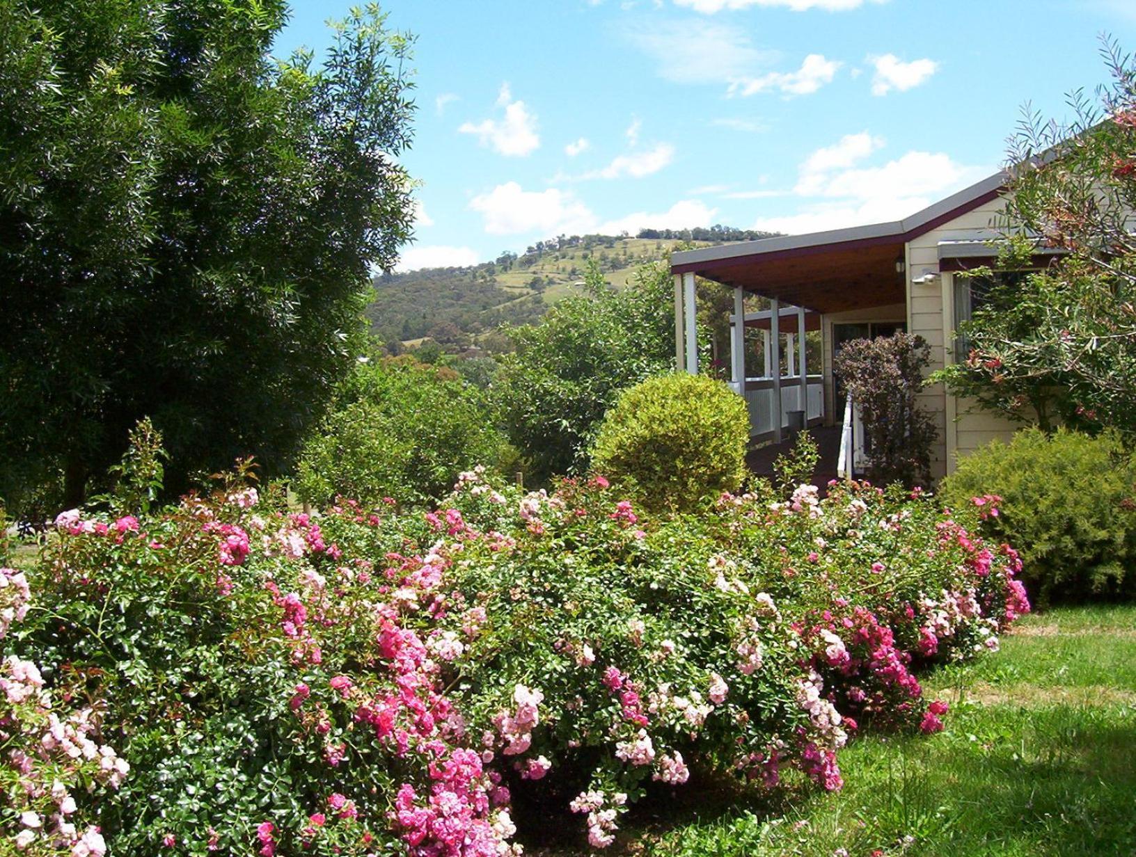 Yarra Glen Bed & Breakfast Екстер'єр фото