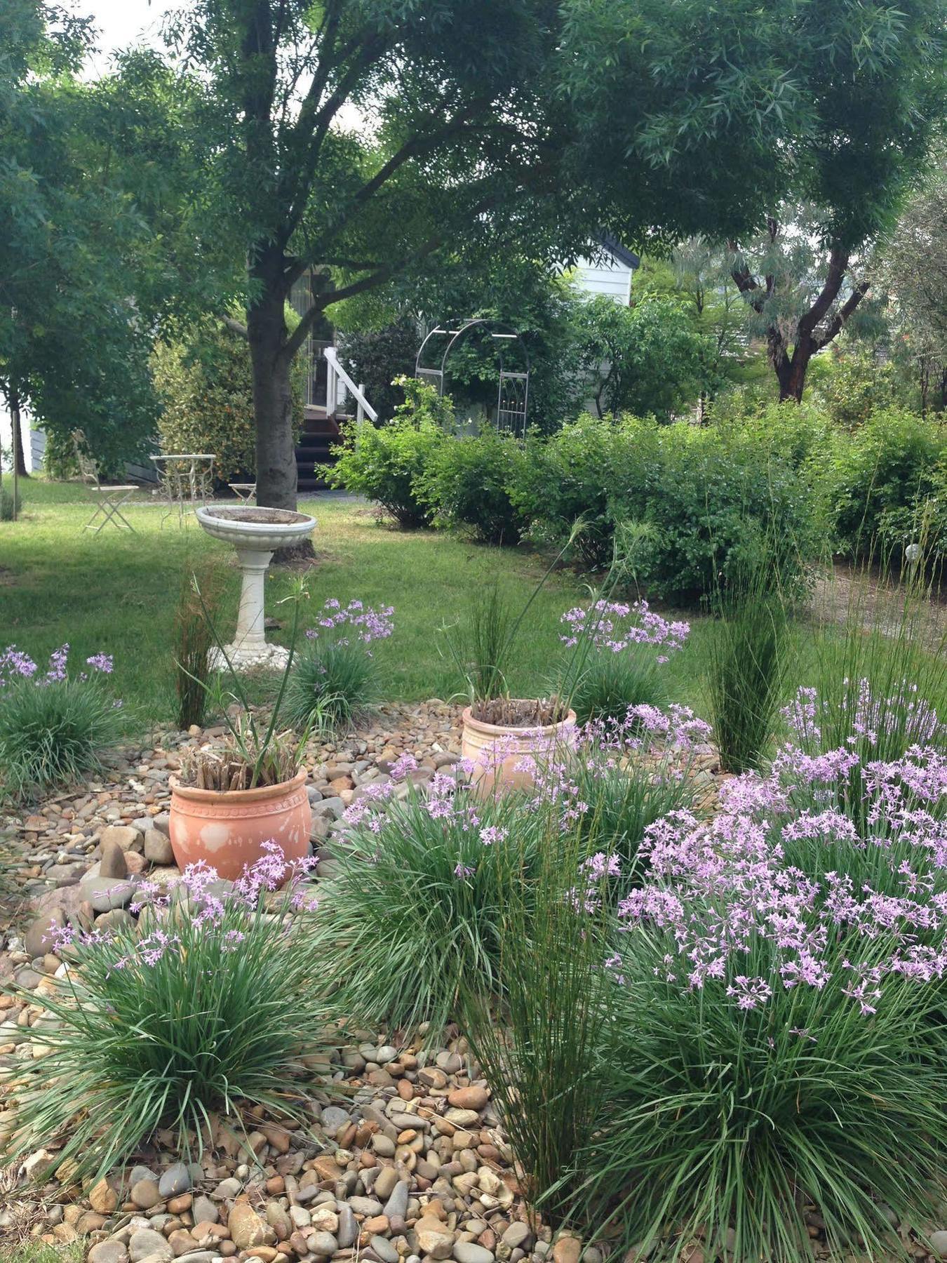 Yarra Glen Bed & Breakfast Екстер'єр фото